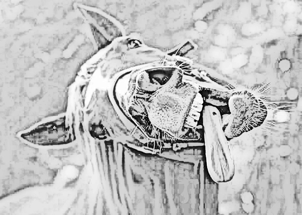 HORSE: The RPG Core Rulebook - Print and Digital Bundle